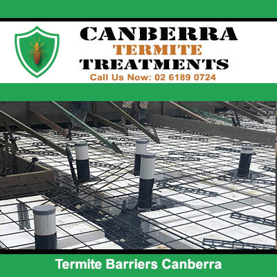 Termite barrier mesh installation with posts in Canberra