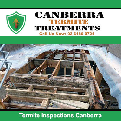Severe termite damage to wooden building in Canberra